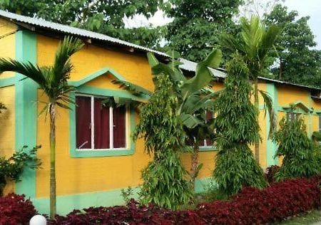 The Mystic Forest - A Tea Garden Resort At Dooars Madari Hat Exterior foto