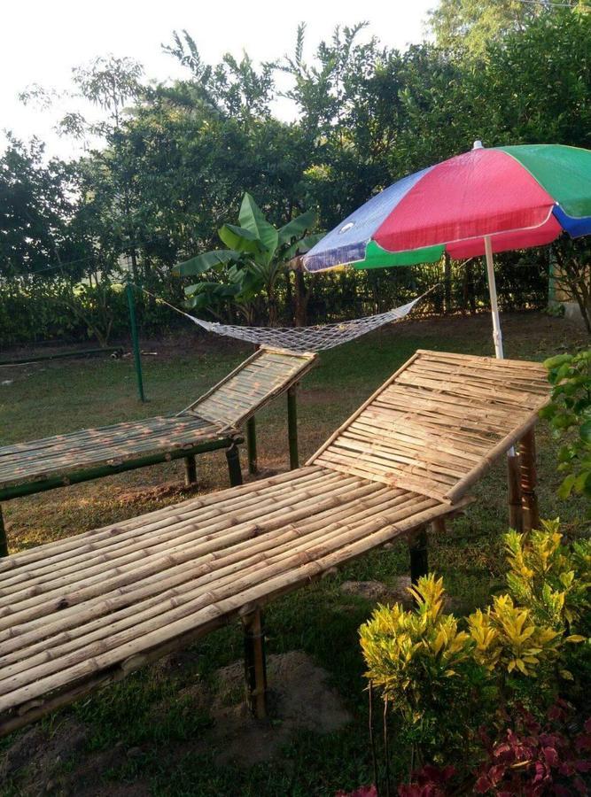 The Mystic Forest - A Tea Garden Resort At Dooars Madari Hat Exterior foto