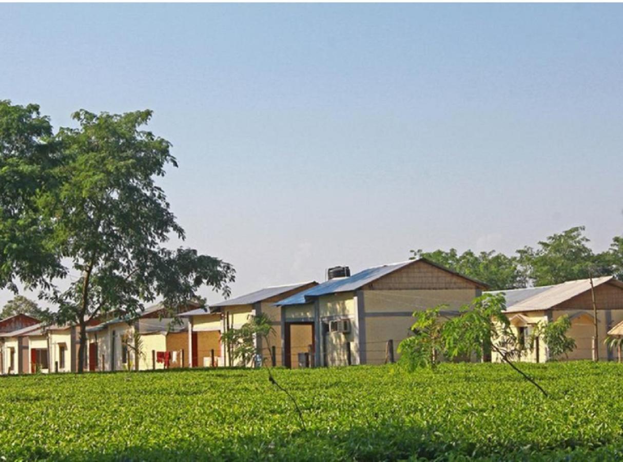 The Mystic Forest - A Tea Garden Resort At Dooars Madari Hat Exterior foto