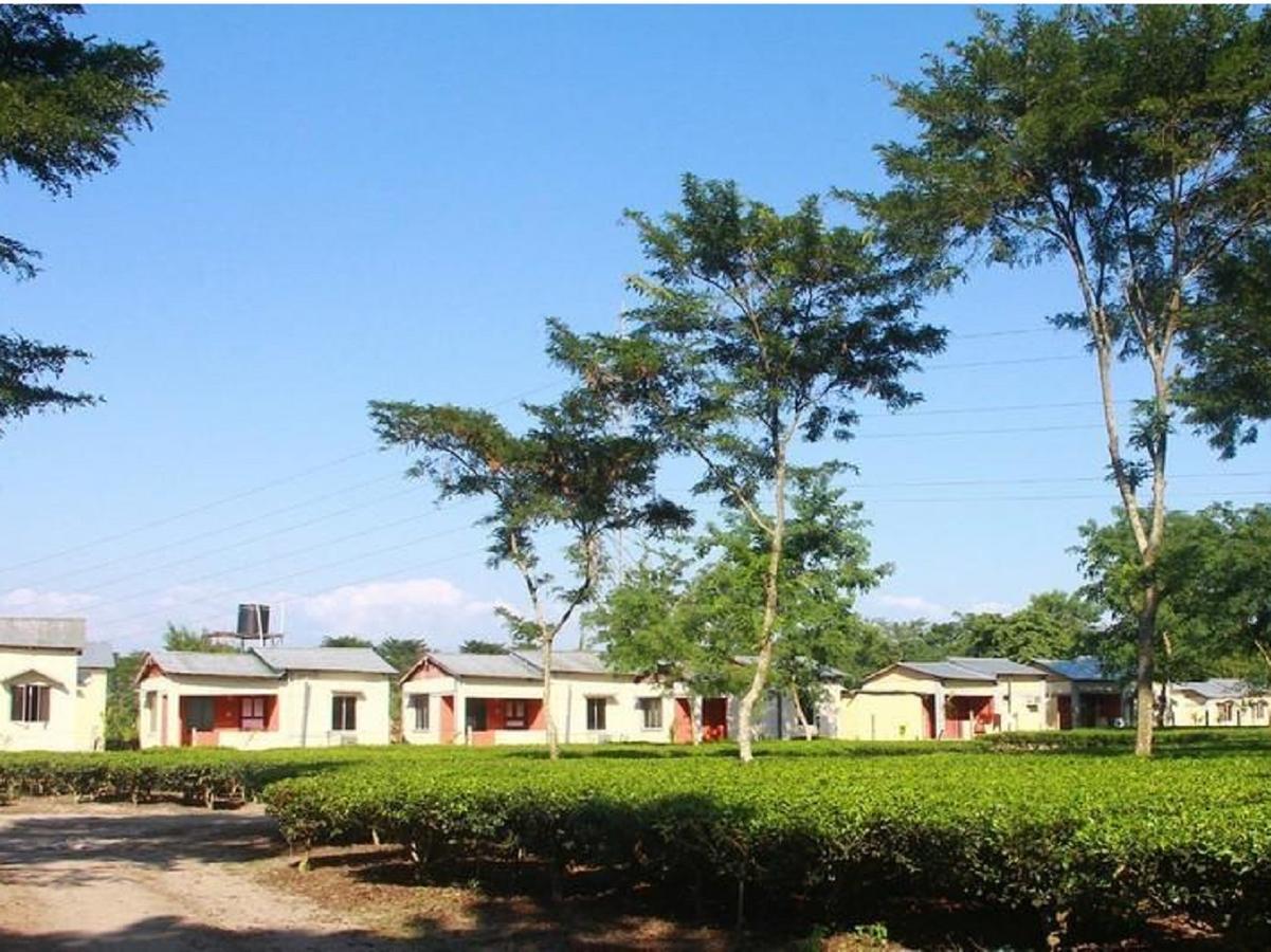 The Mystic Forest - A Tea Garden Resort At Dooars Madari Hat Exterior foto