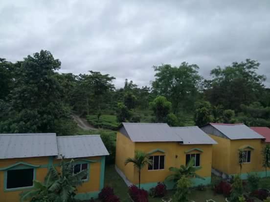 The Mystic Forest - A Tea Garden Resort At Dooars Madari Hat Exterior foto