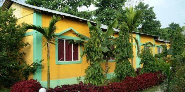 The Mystic Forest - A Tea Garden Resort At Dooars Madari Hat Exterior foto
